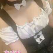 ヒメ日記 2025/08/04 23:44 投稿 あまね 桃李（とうり）