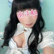 ヒメ日記 2025/08/14 07:14 投稿 あまね 桃李（とうり）