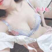 ヒメ日記 2025/09/06 05:28 投稿 あまね 桃李（とうり）