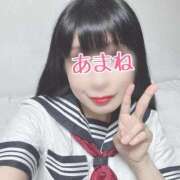 ヒメ日記 2025/09/25 07:24 投稿 あまね 桃李（とうり）