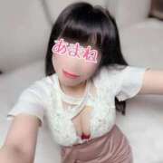 ヒメ日記 2025/09/26 10:24 投稿 あまね 桃李（とうり）