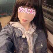 ヒメ日記 2025/09/29 07:54 投稿 あまね 桃李（とうり）