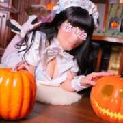 ヒメ日記 2025/10/02 07:38 投稿 あまね 桃李（とうり）