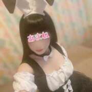 ヒメ日記 2025/10/03 07:54 投稿 あまね 桃李（とうり）