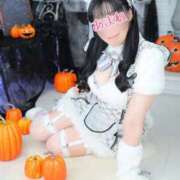 ヒメ日記 2025/10/21 11:44 投稿 あまね 桃李（とうり）