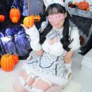 ヒメ日記 2025/10/31 15:04 投稿 あまね 桃李（とうり）