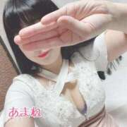 ヒメ日記 2025/11/04 07:30 投稿 あまね 桃李（とうり）