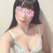 ヒメ日記 2025/11/07 08:14 投稿 あまね 桃李（とうり）