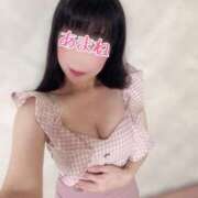 ヒメ日記 2025/11/10 08:03 投稿 あまね 桃李（とうり）