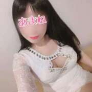 ヒメ日記 2025/11/19 12:15 投稿 あまね 桃李（とうり）