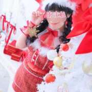 ヒメ日記 2025/11/21 08:19 投稿 あまね 桃李（とうり）