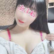 ヒメ日記 2025/11/22 21:22 投稿 あまね 桃李（とうり）