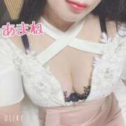 ヒメ日記 2025/11/24 15:27 投稿 あまね 桃李（とうり）