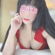 ヒメ日記 2025/11/27 07:44 投稿 あまね 桃李（とうり）