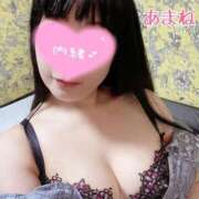 ヒメ日記 2025/12/01 08:04 投稿 あまね 桃李（とうり）