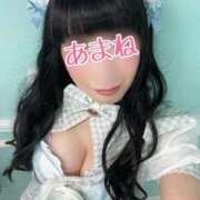 ヒメ日記 2025/12/12 11:31 投稿 あまね 桃李（とうり）