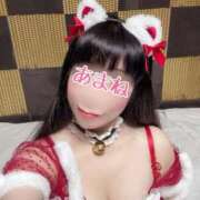 ヒメ日記 2025/12/16 08:16 投稿 あまね 桃李（とうり）