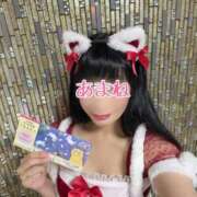 ヒメ日記 2025/12/22 07:34 投稿 あまね 桃李（とうり）