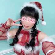 ヒメ日記 2025/12/24 08:44 投稿 あまね 桃李（とうり）