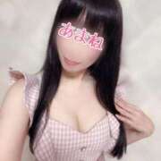 ヒメ日記 2026/01/03 05:34 投稿 あまね 桃李（とうり）