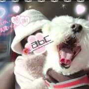 ヒメ日記 2025/01/13 11:33 投稿 ゆず abc＋