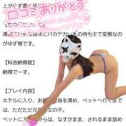 ヒメ日記 2025/01/14 15:02 投稿 ゆず abc＋