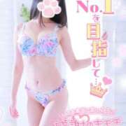 ヒメ日記 2025/02/16 01:57 投稿 ゆず abc＋