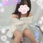 ヒメ日記 2025/02/18 11:05 投稿 ゆず abc＋