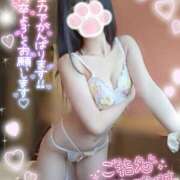 ヒメ日記 2025/02/18 14:29 投稿 ゆず abc＋