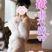 ヒメ日記 2025/02/20 17:29 投稿 ゆず abc＋