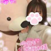 ヒメ日記 2025/02/25 11:50 投稿 ゆず abc＋