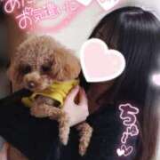 ヒメ日記 2025/02/25 12:08 投稿 ゆず abc＋