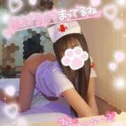 ヒメ日記 2025/03/21 09:15 投稿 ゆず abc＋