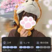 ヒメ日記 2025/03/22 18:12 投稿 ゆず abc＋