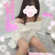 ヒメ日記 2025/03/24 00:19 投稿 ゆず abc＋