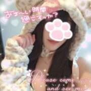 ヒメ日記 2025/03/24 13:05 投稿 ゆず abc＋