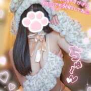 ヒメ日記 2025/03/24 17:40 投稿 ゆず abc＋