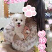 ヒメ日記 2025/03/27 22:42 投稿 ゆず abc＋