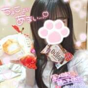 ヒメ日記 2025/03/30 10:06 投稿 ゆず abc＋