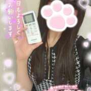 ヒメ日記 2025/04/05 14:37 投稿 ゆず abc＋