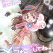 ヒメ日記 2025/04/07 15:22 投稿 ゆず abc＋