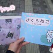 ヒメ日記 2025/04/12 13:11 投稿 ゆず abc＋