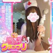 ヒメ日記 2025/04/12 18:40 投稿 ゆず abc＋