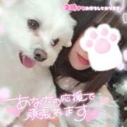 ヒメ日記 2025/05/10 03:38 投稿 ゆず abc＋