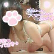 ヒメ日記 2025/05/13 03:20 投稿 ゆず abc＋