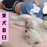 ヒメ日記 2025/05/13 12:44 投稿 ゆず abc＋