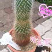 ヒメ日記 2025/06/03 00:30 投稿 ゆず abc＋