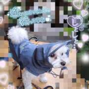 ヒメ日記 2025/06/10 12:11 投稿 ゆず abc＋