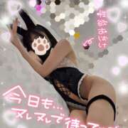 ヒメ日記 2025/06/16 13:58 投稿 ゆず abc＋