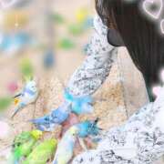 ヒメ日記 2025/06/19 11:17 投稿 ゆず abc＋